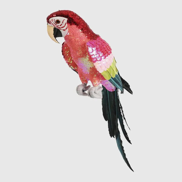 Majestic Stardust Parrot - Large