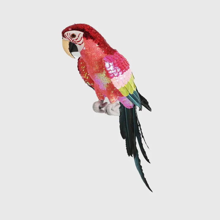 Majestic Stardust Parrot - Small