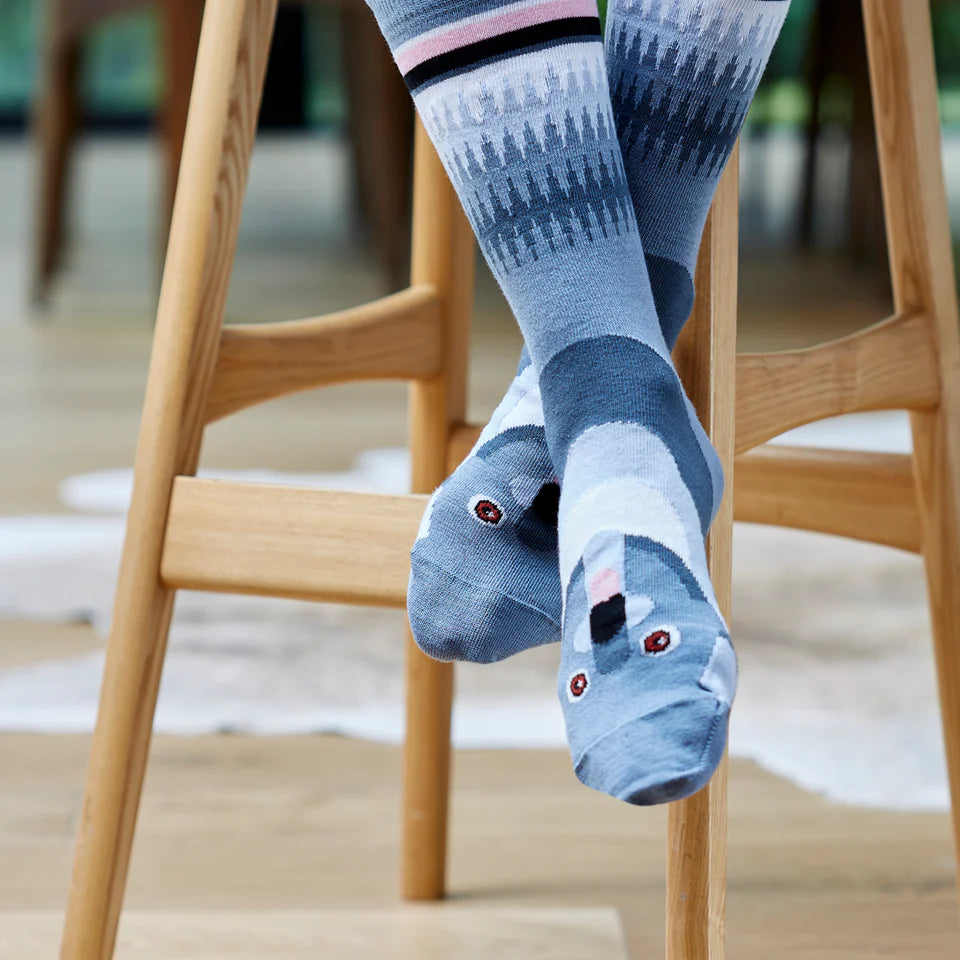 Koala Socks - Wilson | Payne