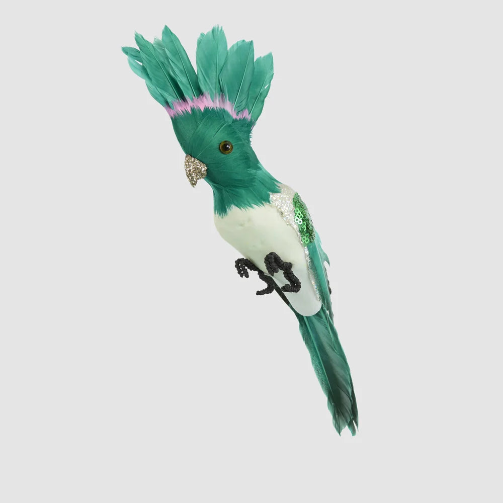 Razzle Crested Bird Green