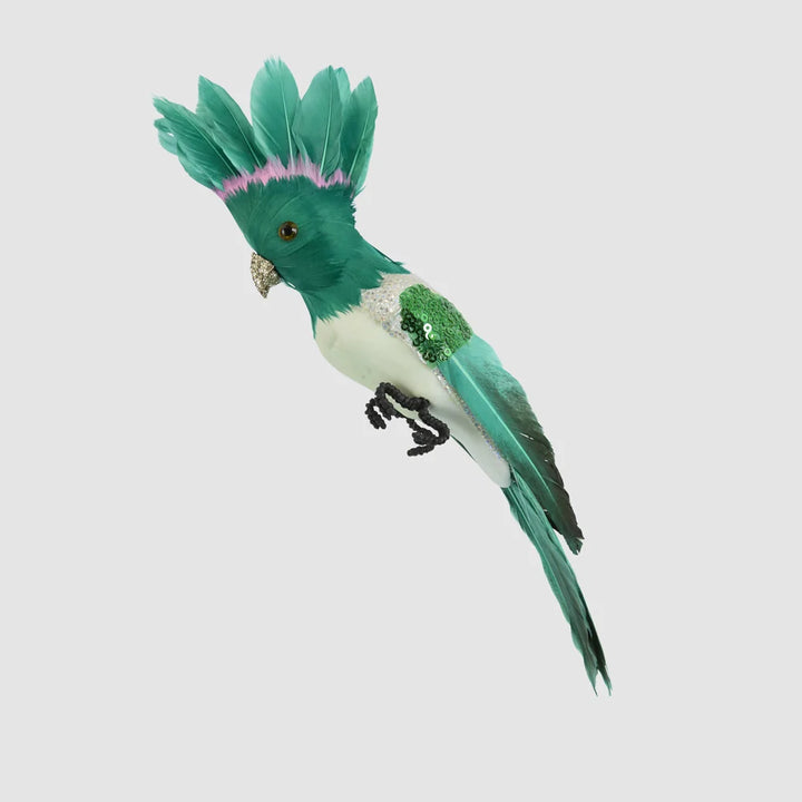 Razzle Crested Bird Green