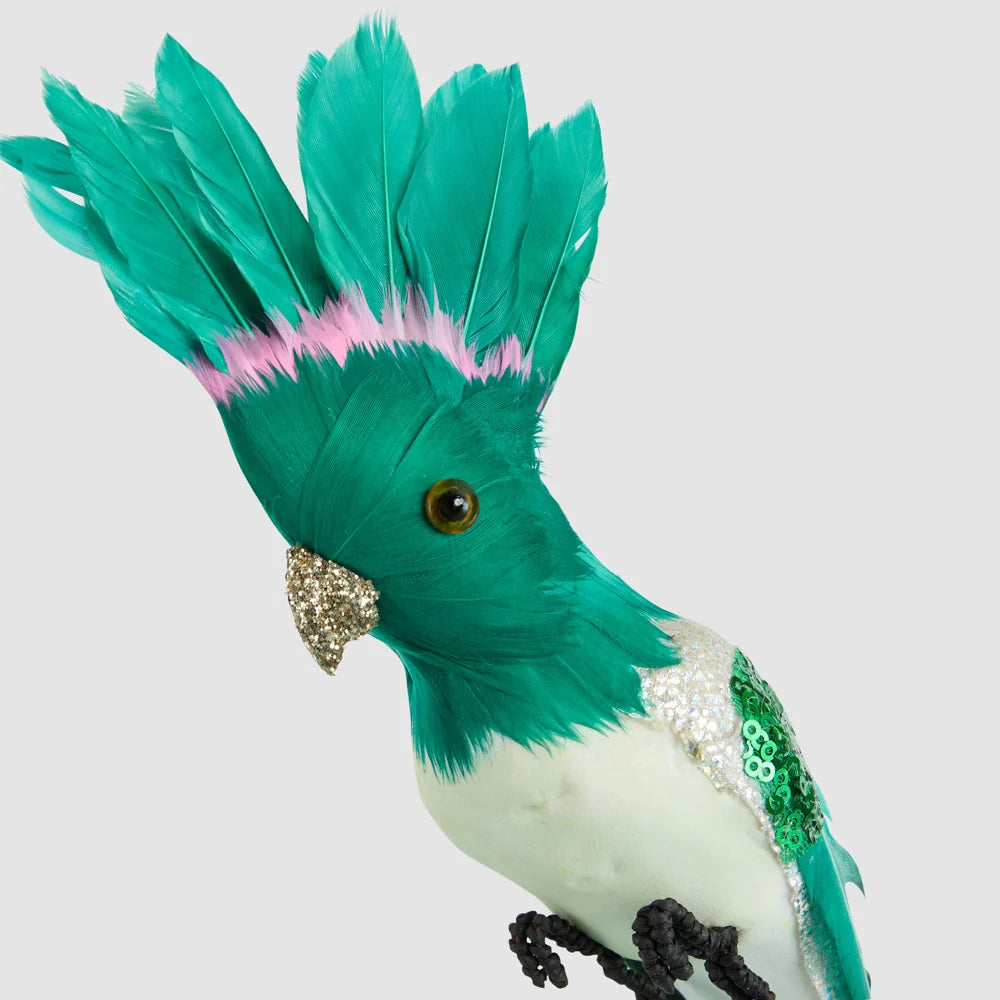 Razzle Crested Bird Green