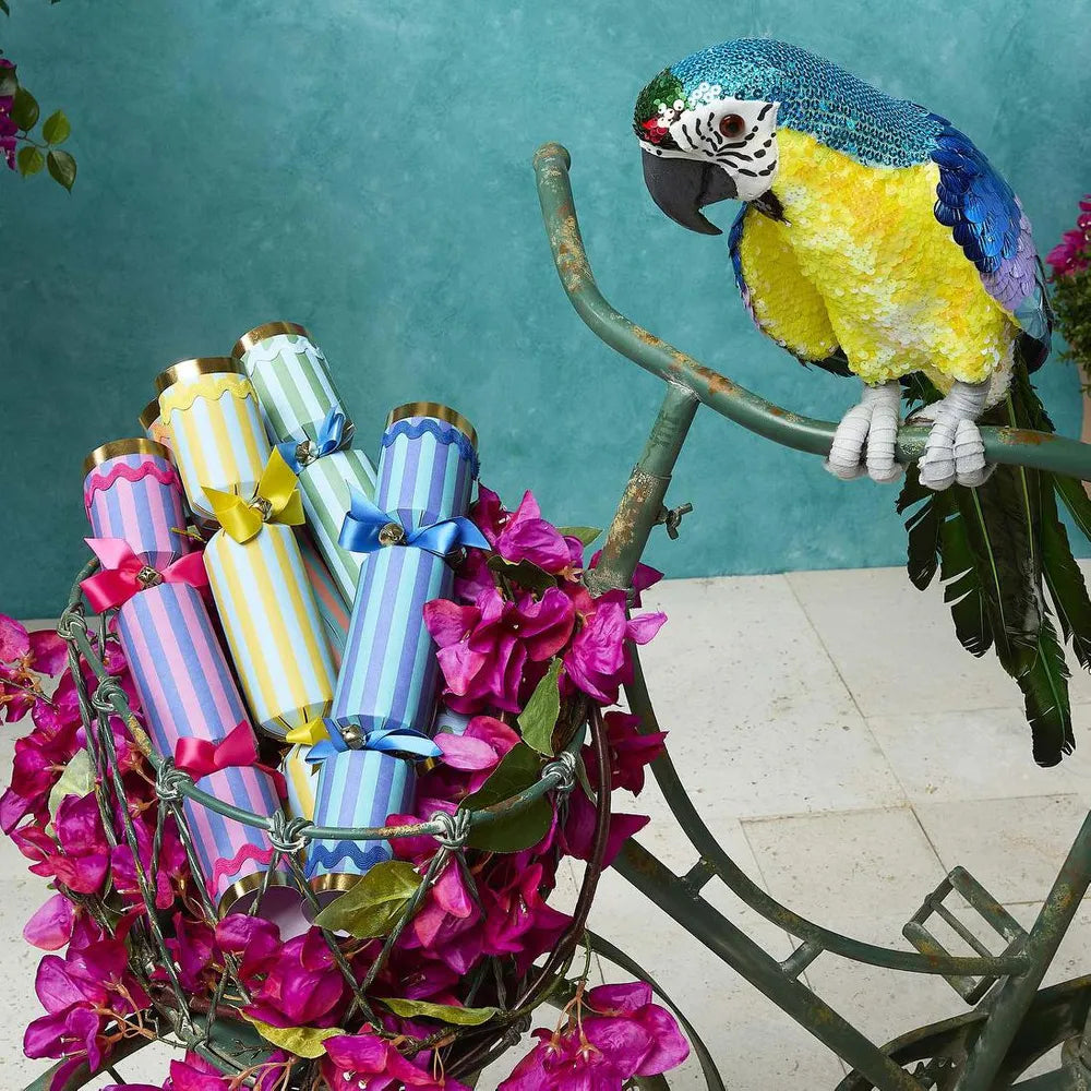 Azure Yellow Belly  Parrot