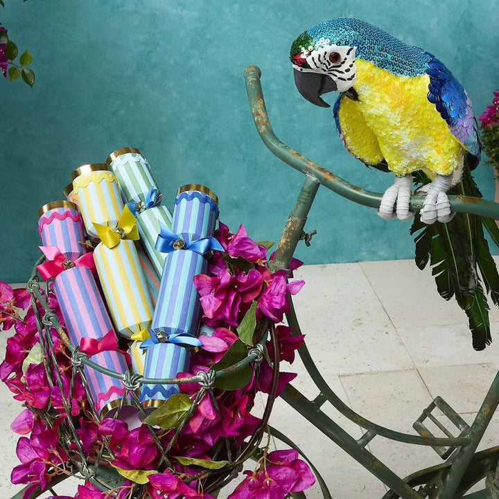 Azure Yellow Belly  Parrot