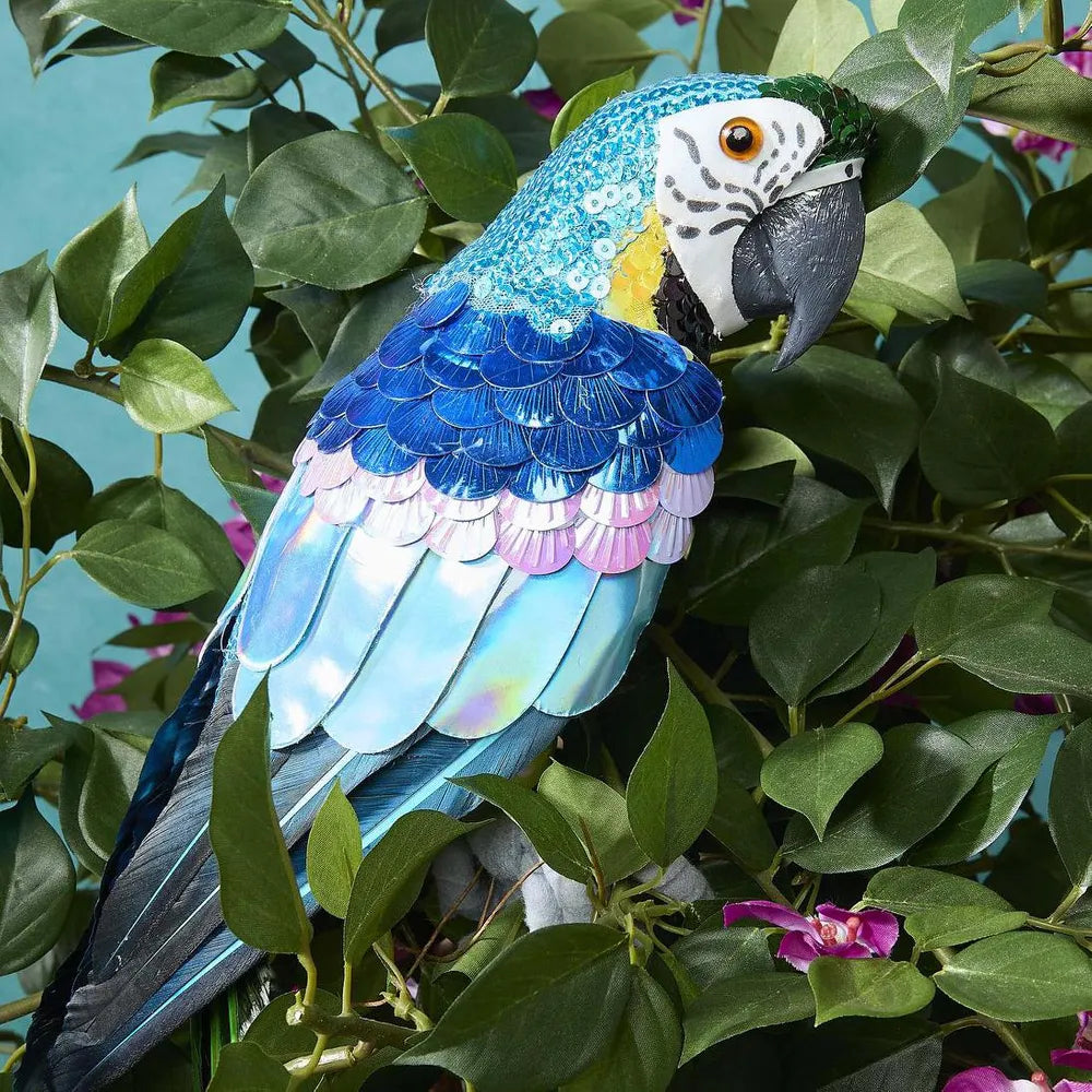 Azure Yellow Belly  Parrot