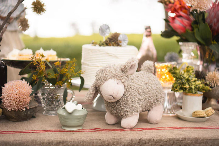 Charlotte the Sheep - Cream