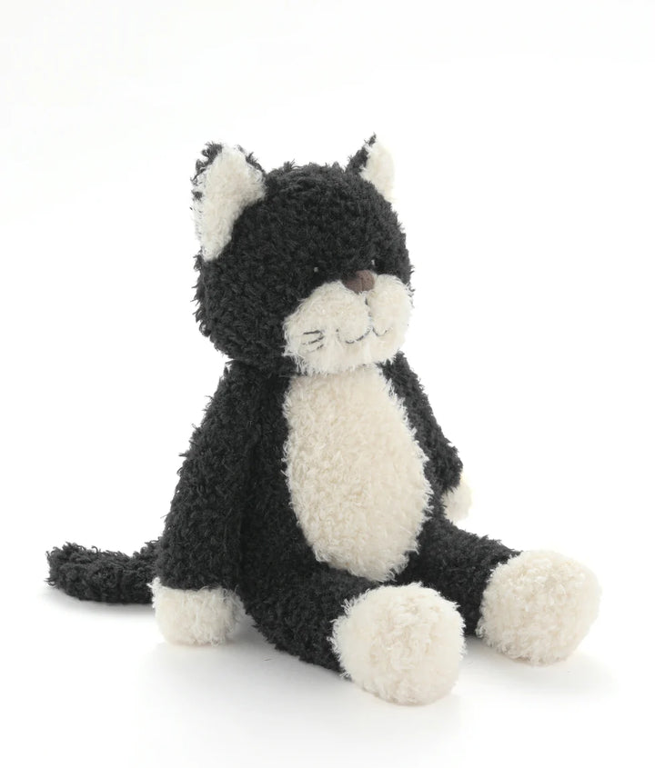 Checkers The Cat