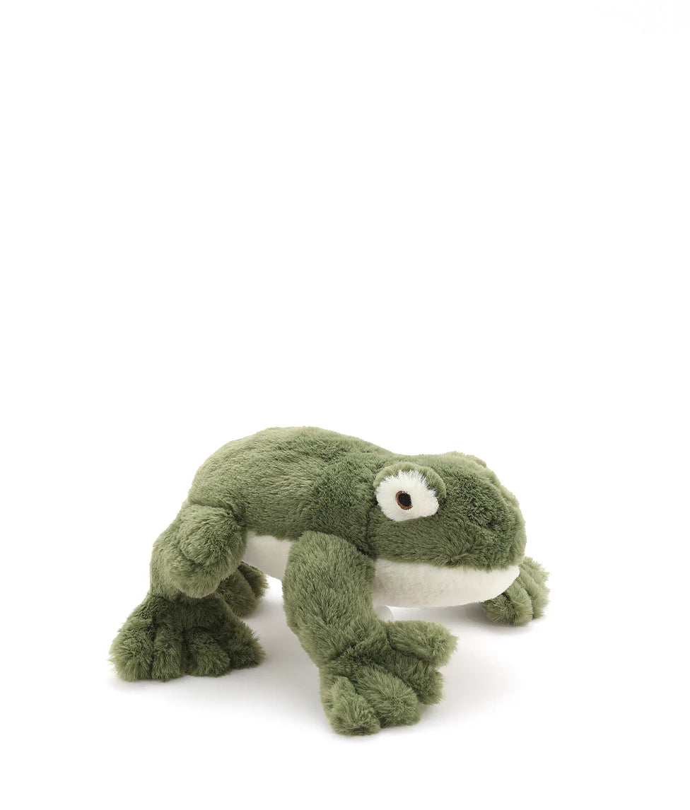 Finley the Frog