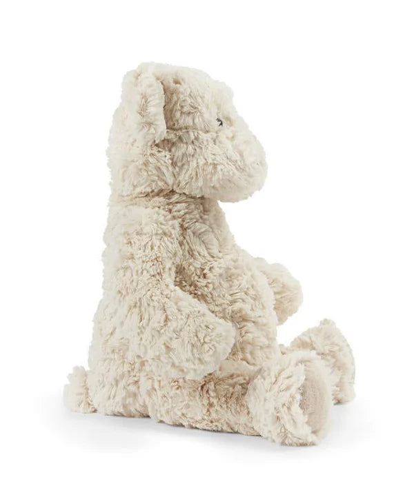 Freddy the Teddy - Cream