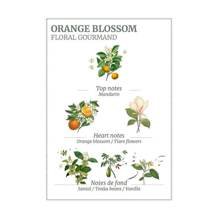 Orange Blossom Marseille Liquid Soap Eco Refill