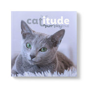 Affirmations Catitude – Purr; Play; Love