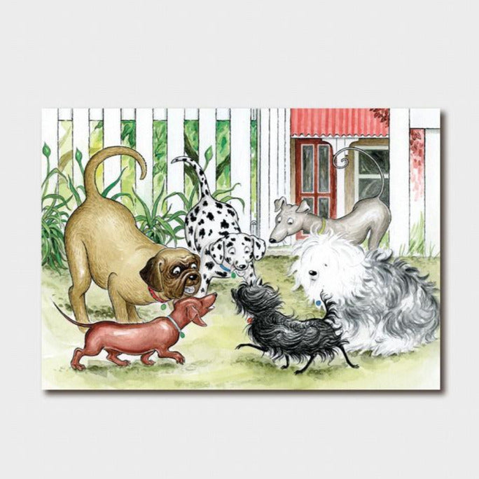 Hairy Maclary Shoo Card