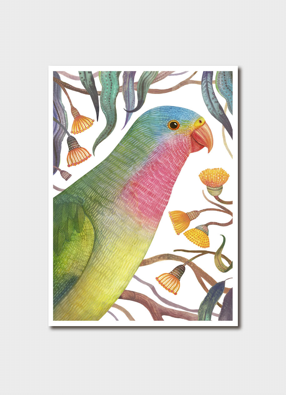 Vlad Stankovic Princess Parrot Card