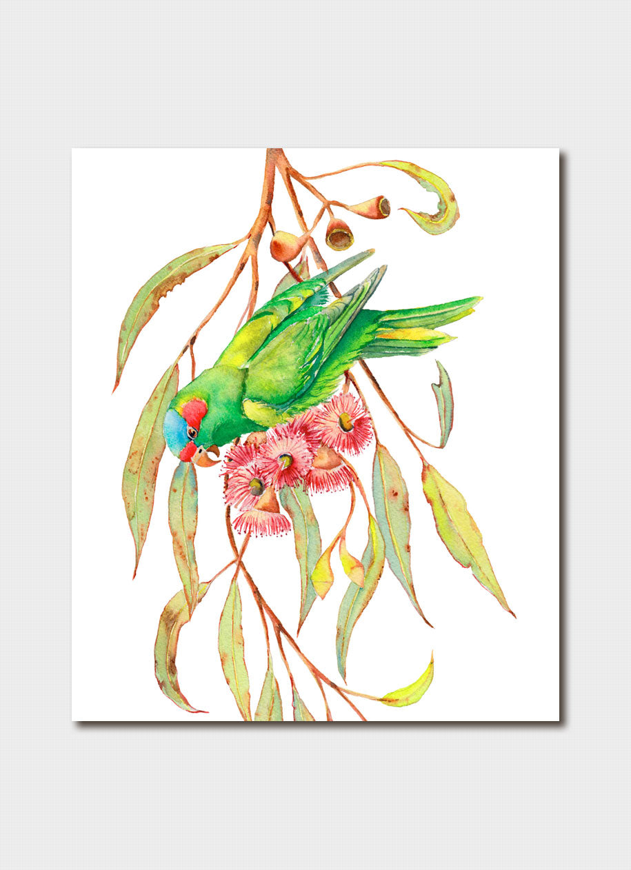 Zoya Makarova Musk Lorikeet & Pink Eucalyptus Card