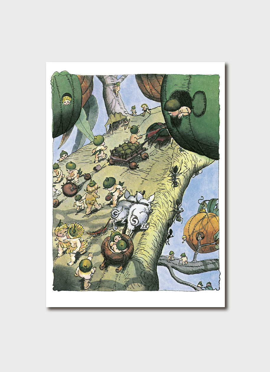 May Gibbs Gumnut Babies Nuttybub’s Curiosity Card