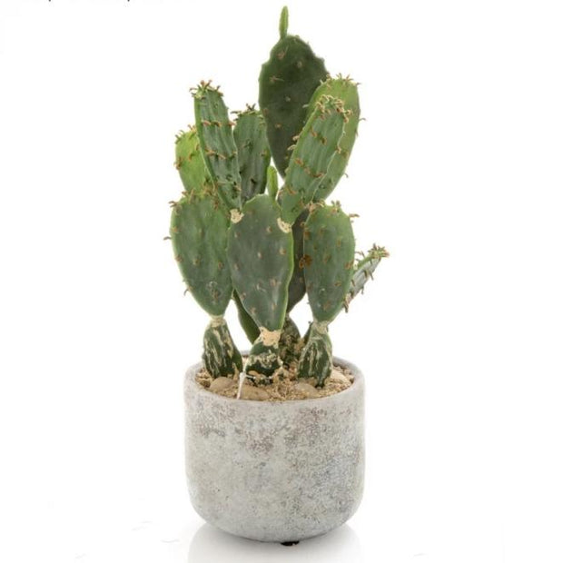 Artificial Desert Cactus - 58cm