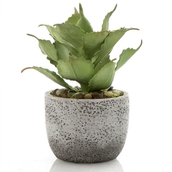 Florabelle – Nest Homewares and Gifts