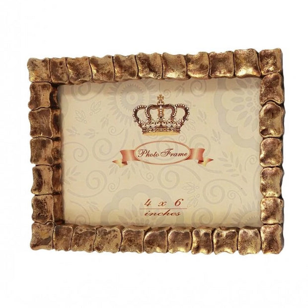 Gold Turtle Picture Frame Gold 4'x6'