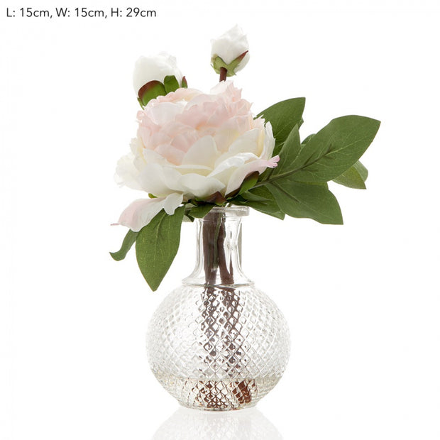 Peony in Glass Vase - Pink