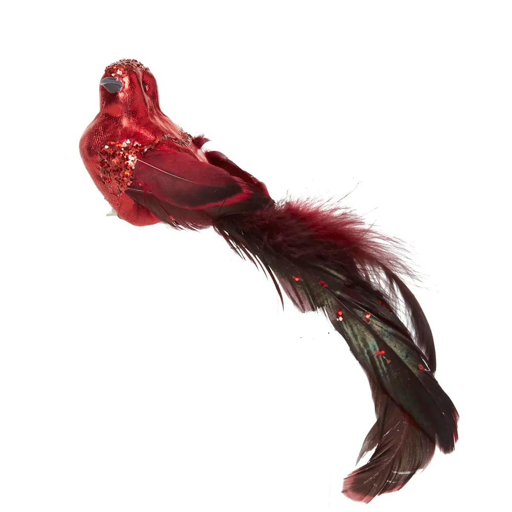 Lame Red Bird