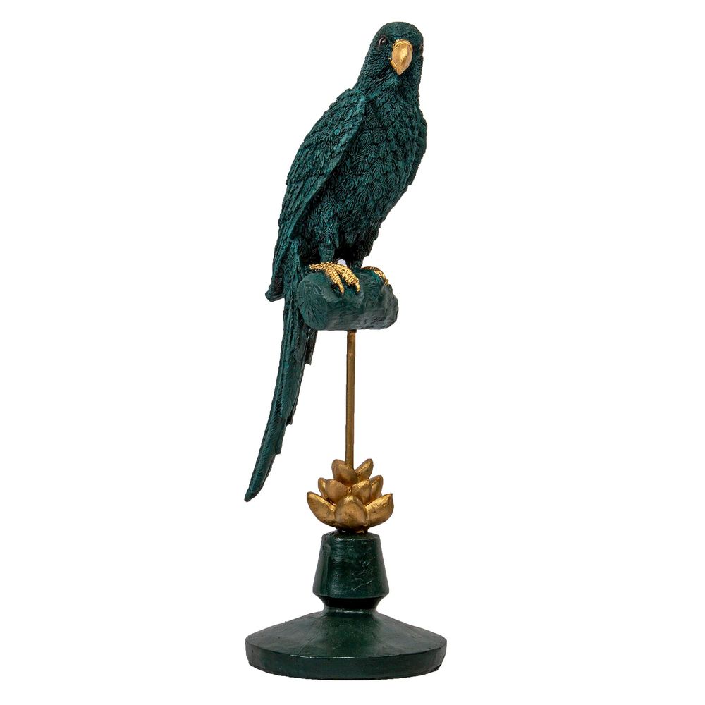 Teal Green Tara Parrot