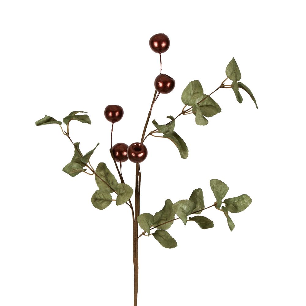 Rosehip Stem With Leaves