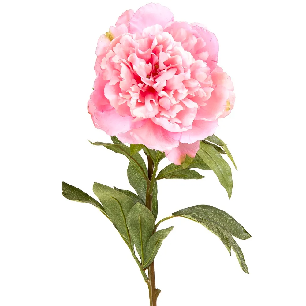 Peony Spray - 90cm - Light Pink