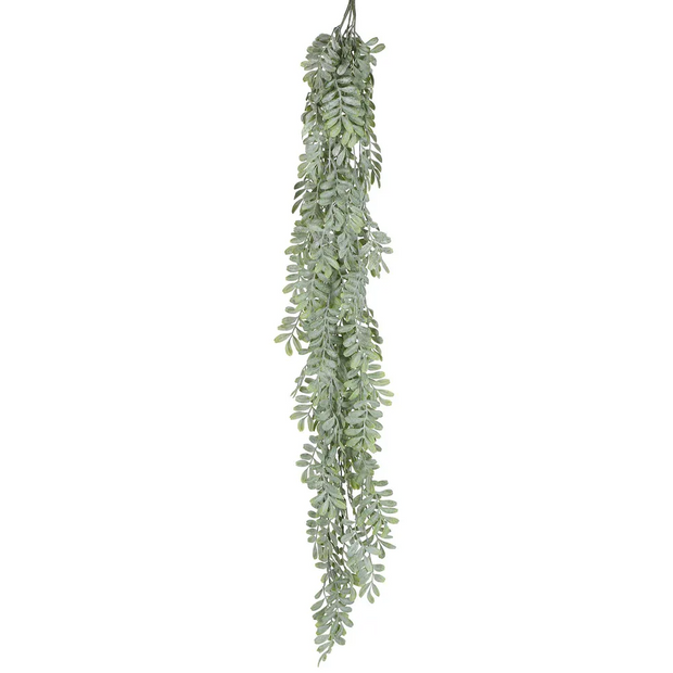 Pepper Fern Hanging Vine 115cm