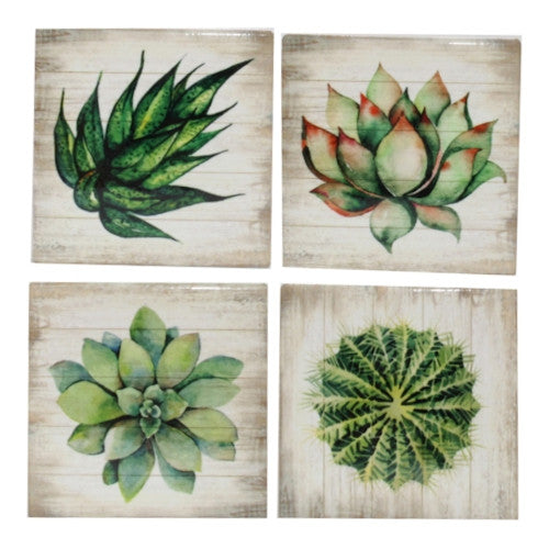 Succulent Coasters - Set of 4