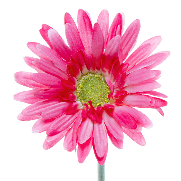Gerbera Aztec Hot Pink 54cm