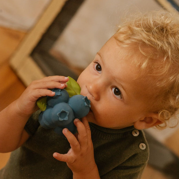 Oli&Carol Jerry The Blueberry Baby Teether