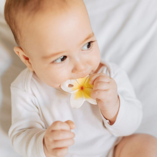 Oli&Carol Hawaii Flower Mini Baby Teether