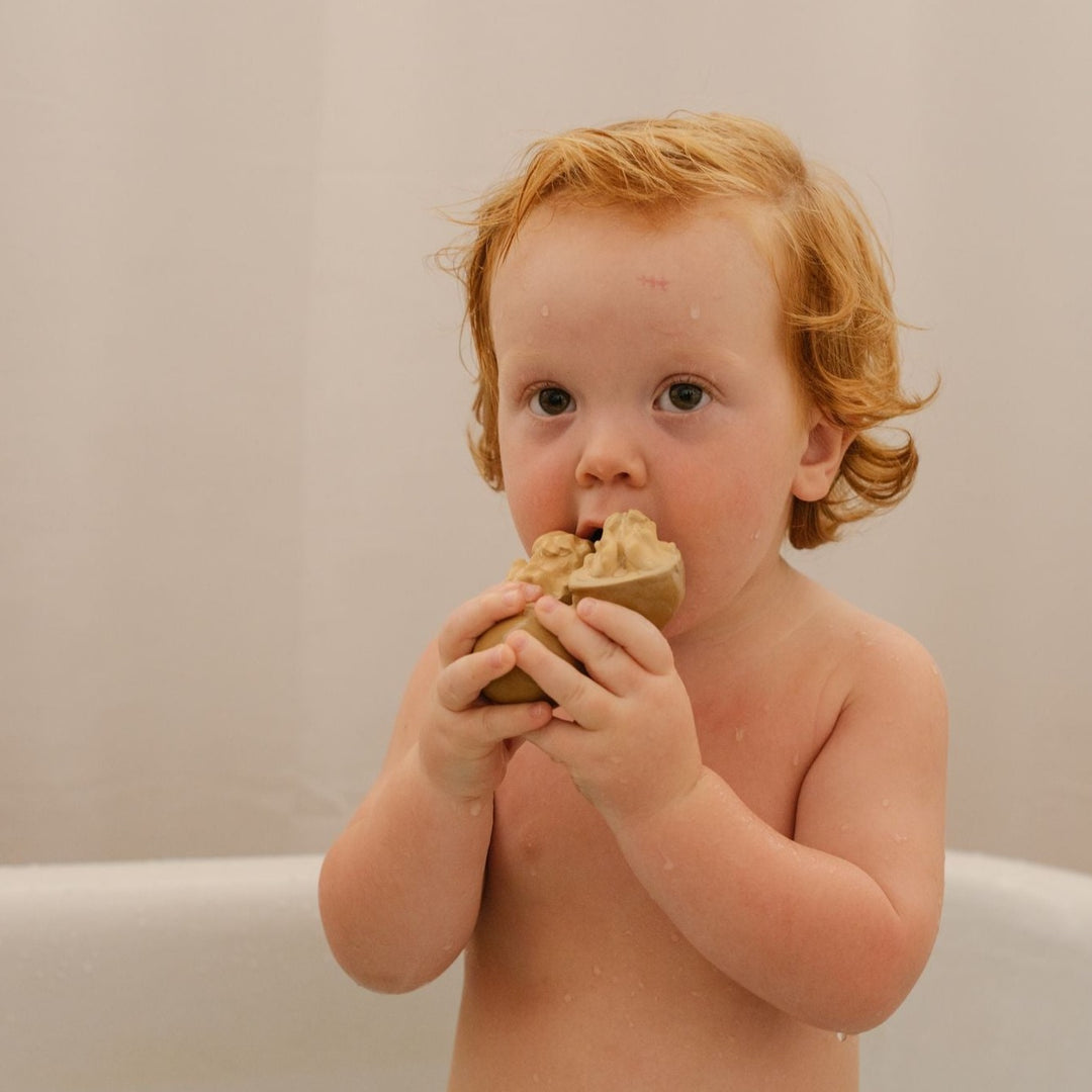 Oli&Carol Nutty the Walnut Baby Teether