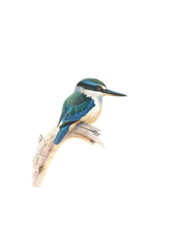 Thirstystone Sacred Kingfisher Coaster
