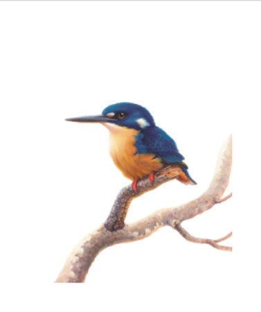 Thirstystone Azure Kingfisher Coaster
