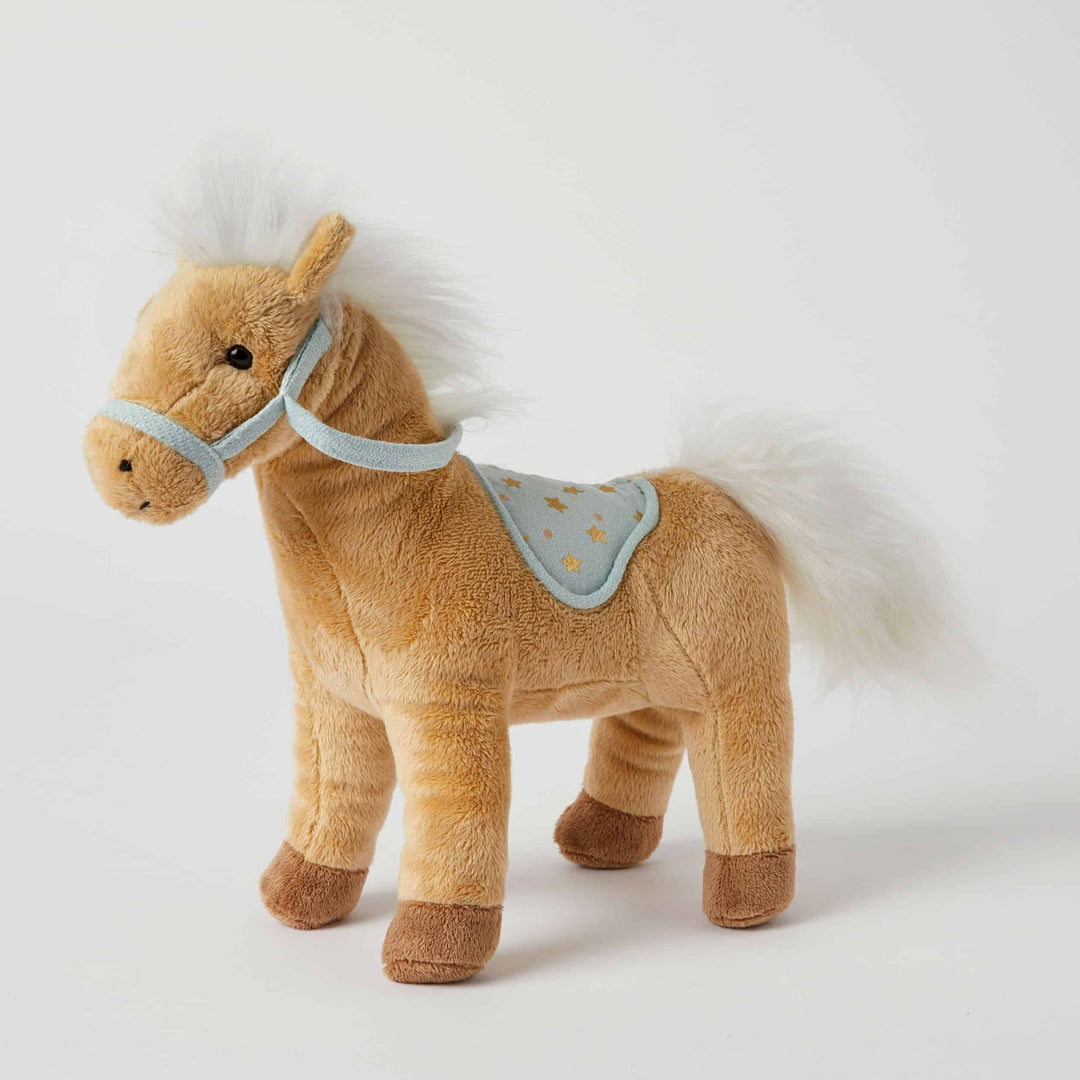 Starlight the Horse