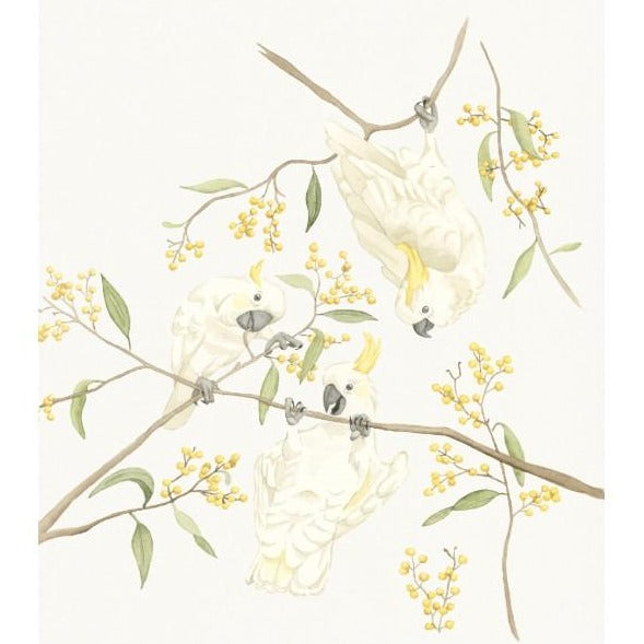 Mini Card - Branching Out