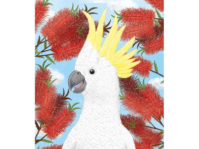 Mini Card - Cockatoo in Bottlebrush