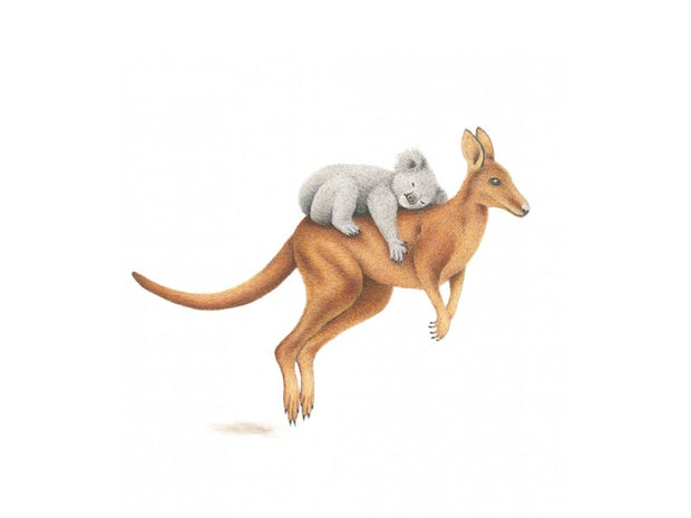 Mini Card - Koala on Kangaroo