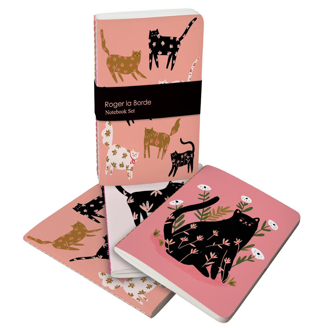 Roger la Borde Cinnamon and Ginger A6 Exercise Books Bundle