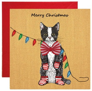 Apple & Clover Kitten Lights Christmas Card