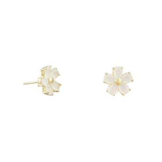 Tiger Tree Willow White Blossom Studs