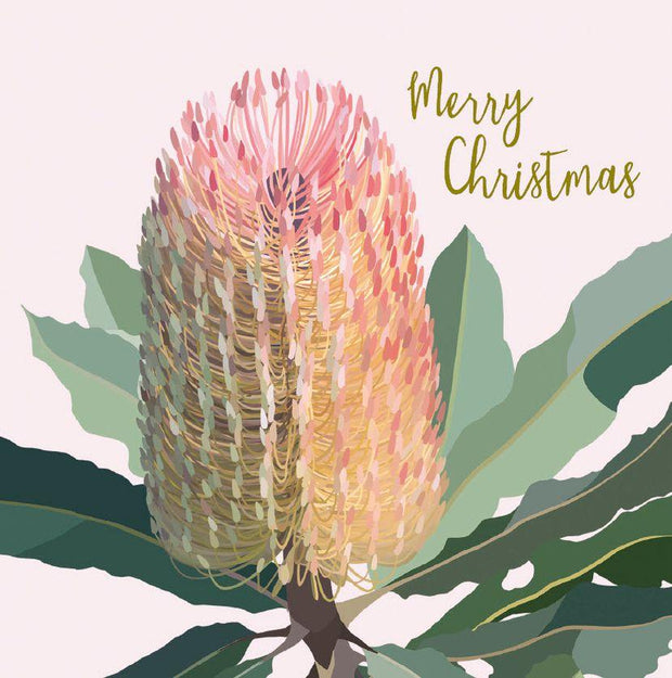 BCNA Charity Christmas Card Pack - Banksia