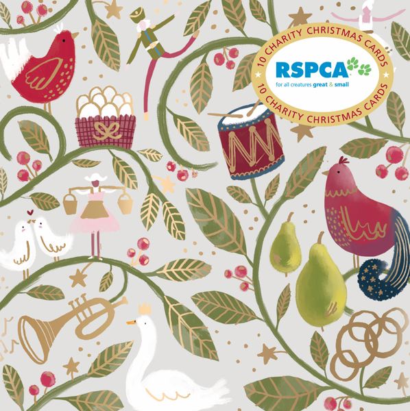 RSPCA Charity Christmas Card Pack - 12 Days