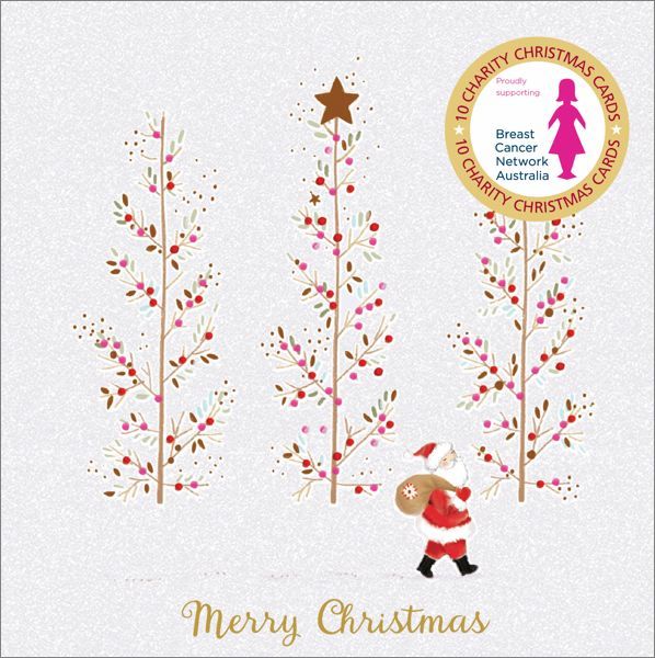 BCNA Charity Christmas Card Pack - Merry Santa