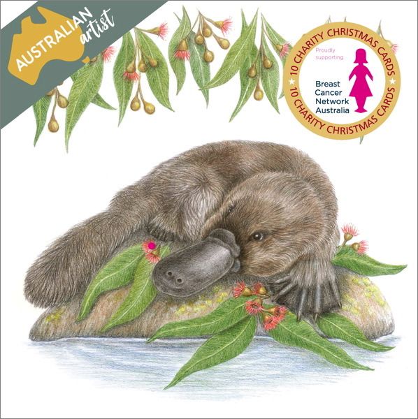 BCNA Charity Christmas Card Pack - Platypus