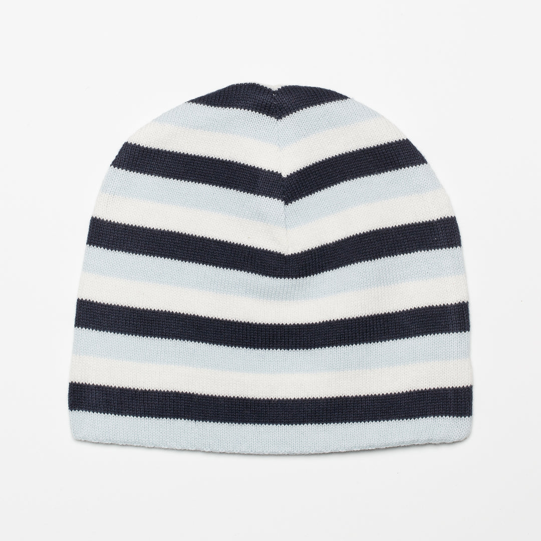 Blue Stripe Reversible Hat
